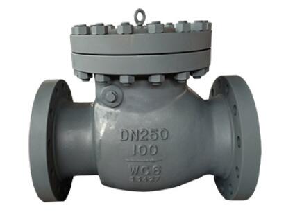 Check valve